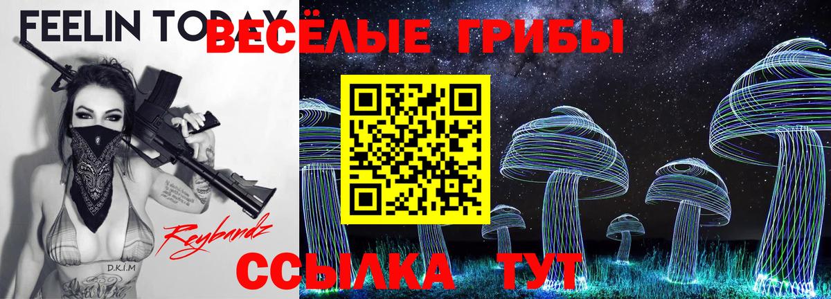 Псилоцибиновые грибы мухоморы Энгельс