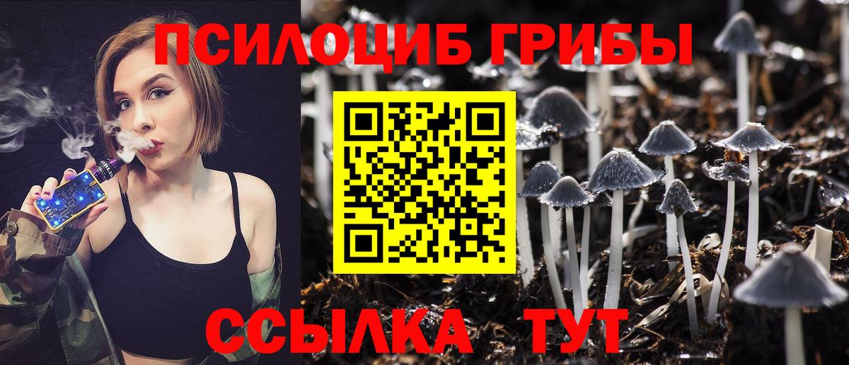 Псилоцибиновые грибы GOLDEN TEACHER  Вход с VPN  Псилоцибиновые грибы Magic Shrooms  Энгельс 